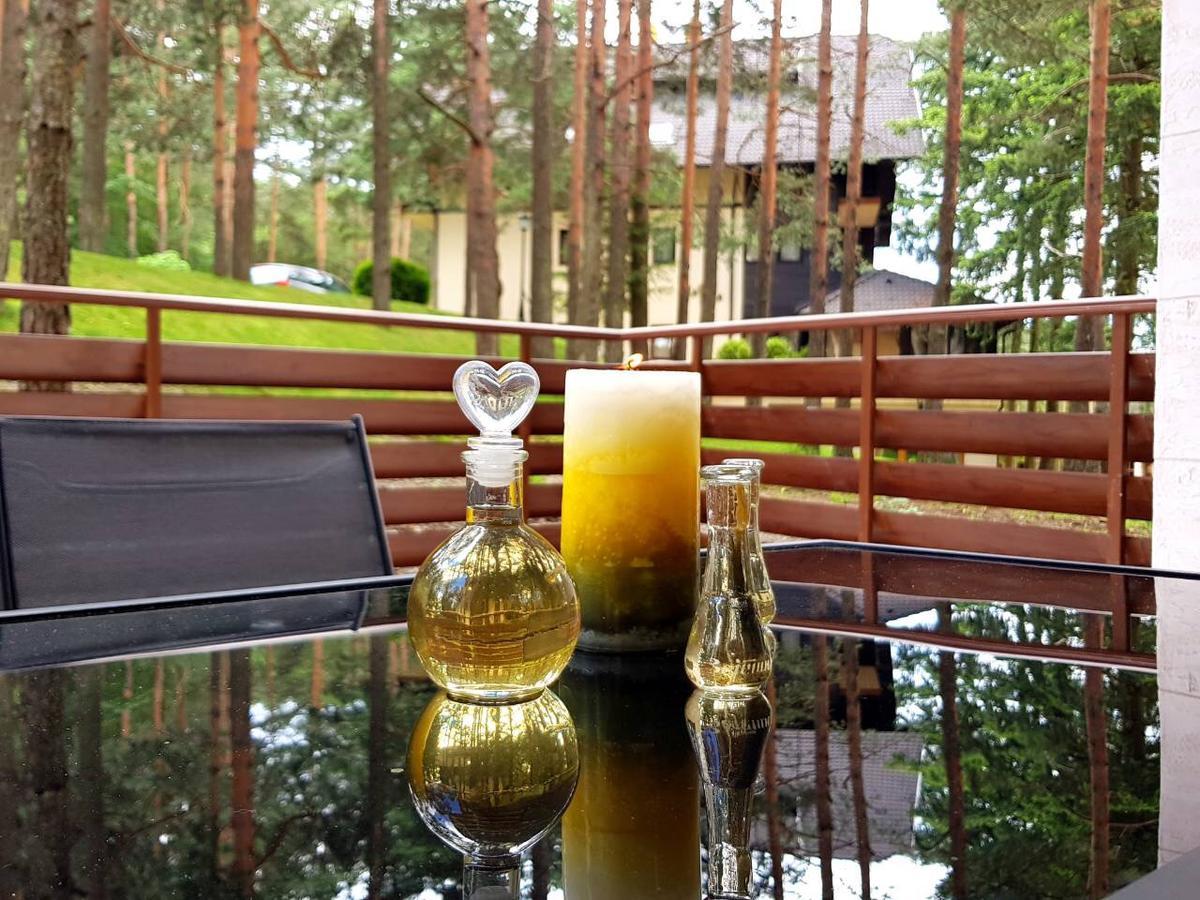 Apartment Jelena Ζλάτιμπορ Εξωτερικό φωτογραφία